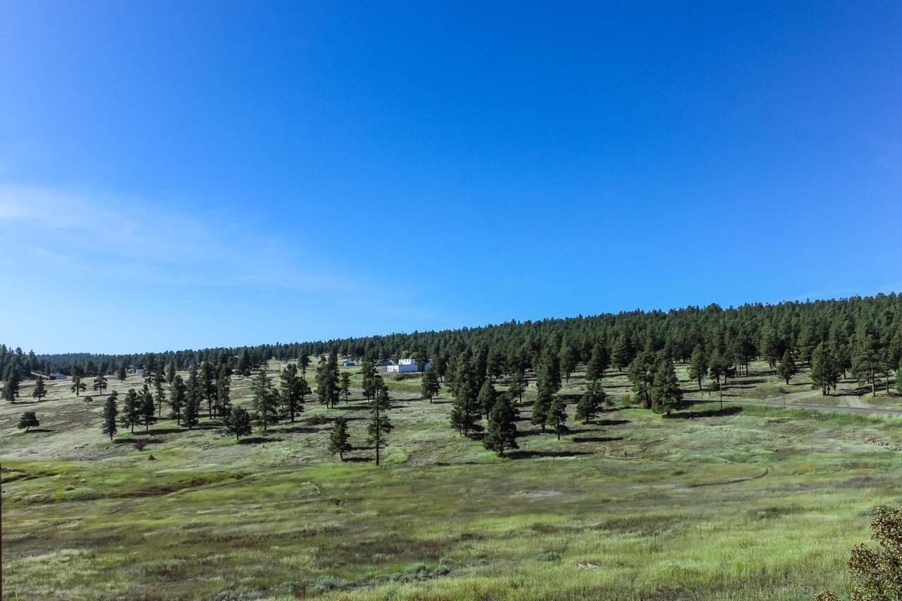 Split Pine Cabin Pagosa Springs Eksteriør billede